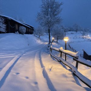 IMG_3487