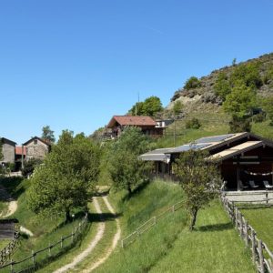 IMG_6853