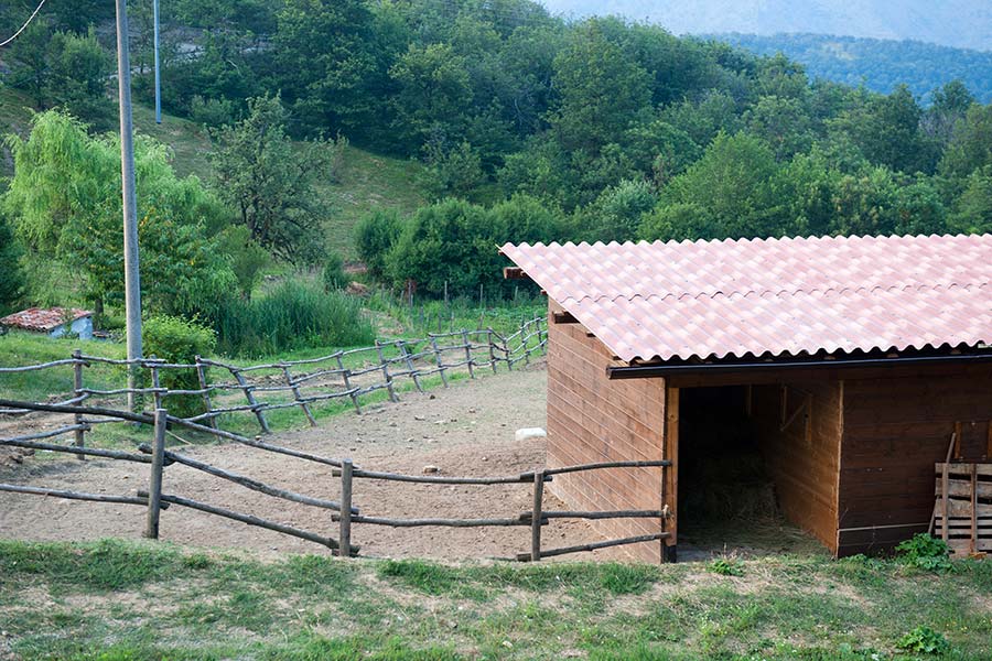 Equitazione e fattoria agriturismo Pian della Castagna