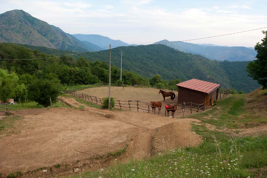 Equitazione e fattoria agriturismo Pian della Castagna