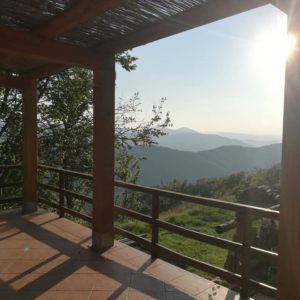 samadhi