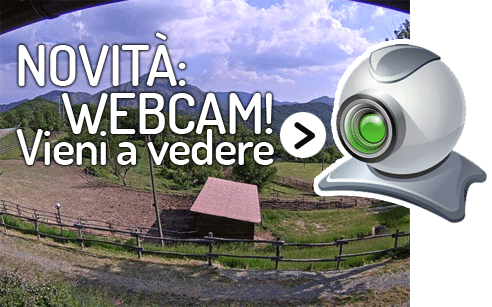 Webcam in diretta a Pian della Castagna, Bosio